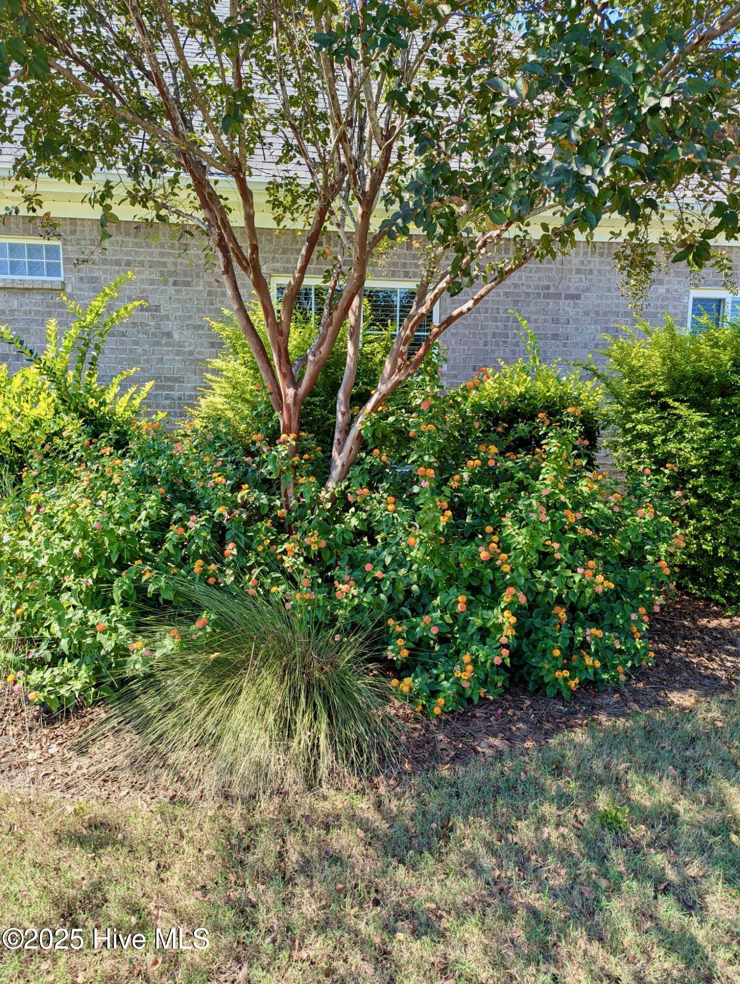 2437 Meridian Road Northeast Leland, NC 28451 - Photo 52 of 79 PXL_20250905_155129337