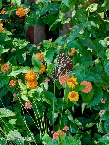 $595,000 | 2437 Meridian Road Northeast, Leland, NC 28451