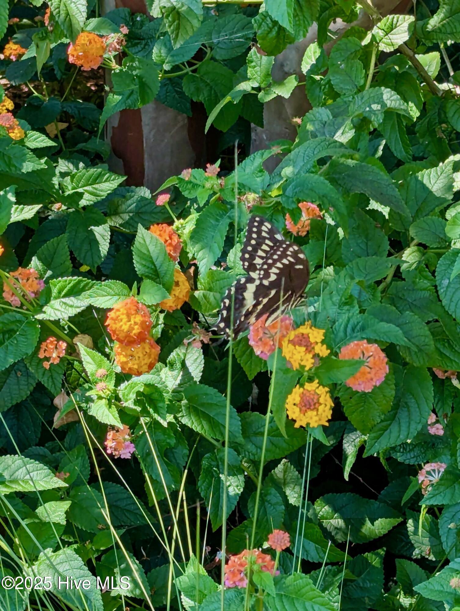 2437 Meridian Road Northeast Leland, NC 28451 - Photo 53 of 79 1000017809