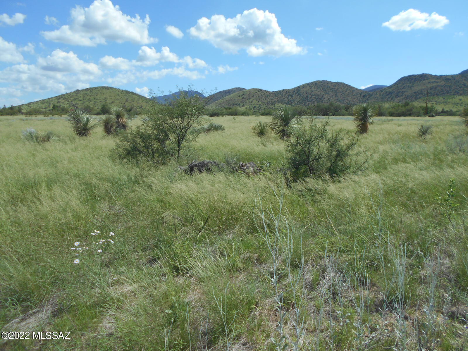 1.1-acres Treasure Road, Unit 7 Pearce, AZ 85625 - Photo 2 of 38 Gallery Image 2