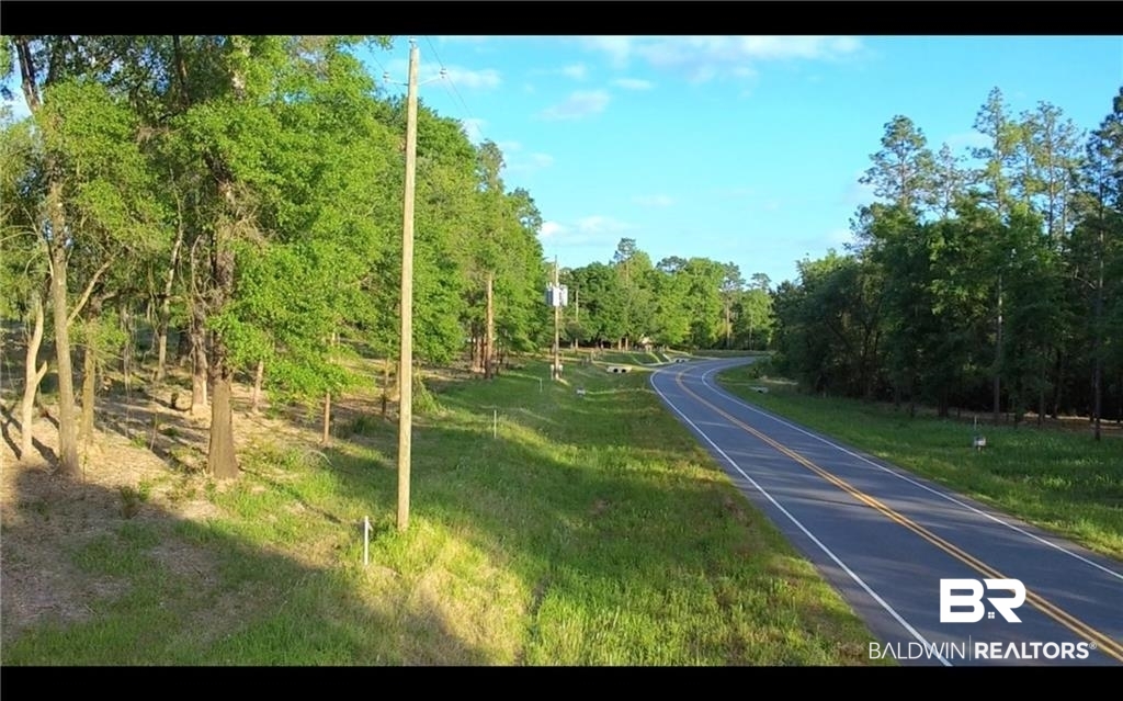 0 South Grand Bay Wilmer Road Mobile, AL 36695 - Photo 3 of 5