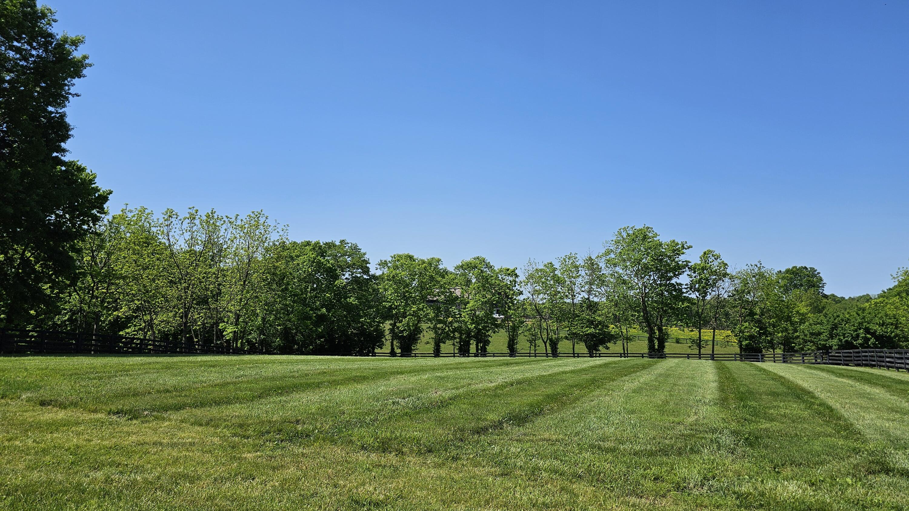 5310 Briar Hill Road Lexington, KY 40516 - Photo 5 of 25 20240512_113834