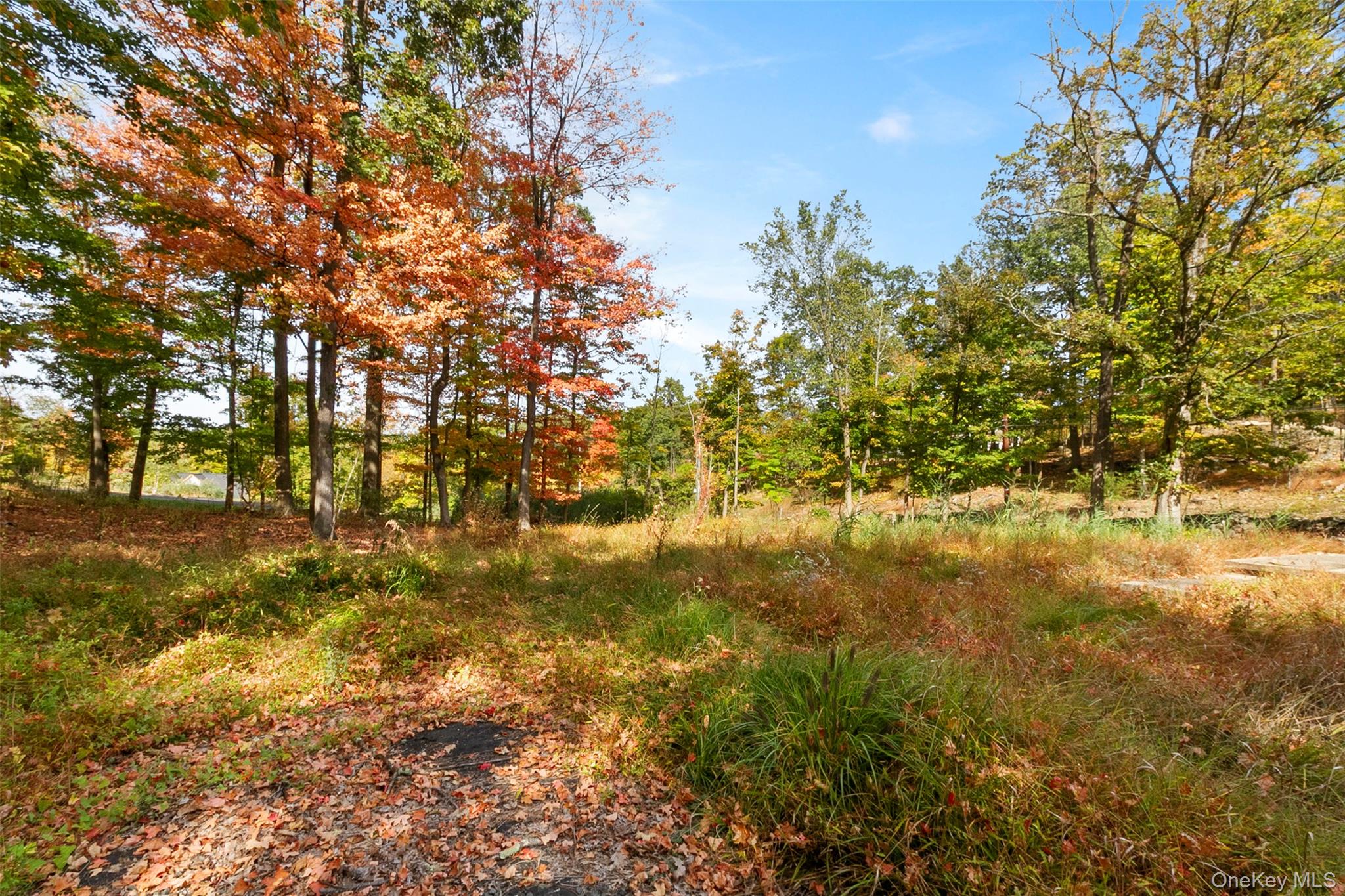 41 Schuyler Road Blauvelt, NY 10913 - Photo 2 of 6 a view of a yard