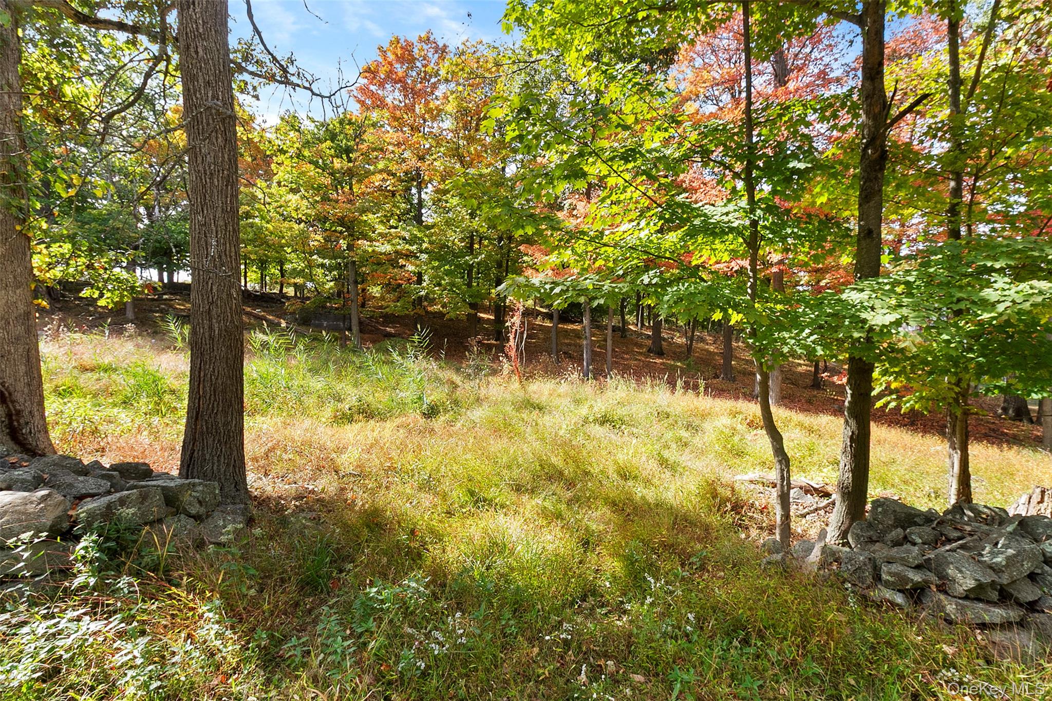 41 Schuyler Road Blauvelt, NY 10913 - Photo 4 of 6 a view of lake view