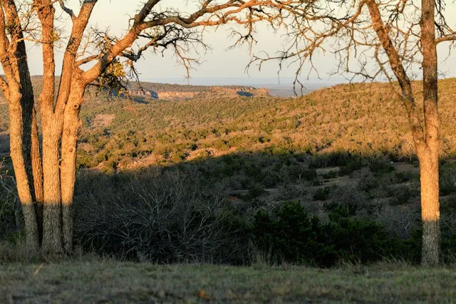 a view of mountain view with lots of trees
