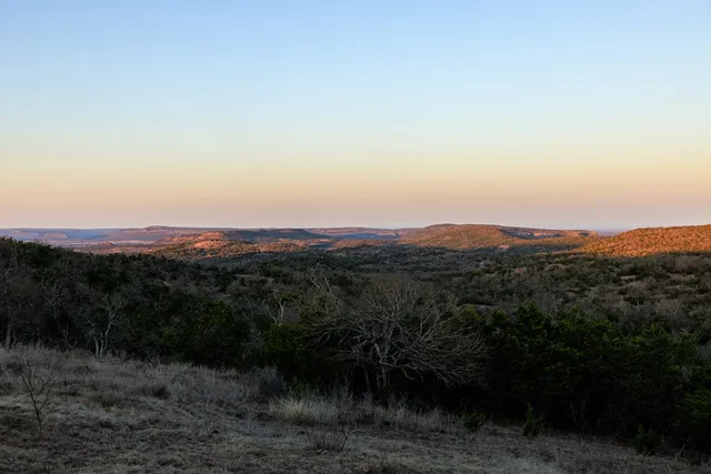 a view of a yard with a forest
