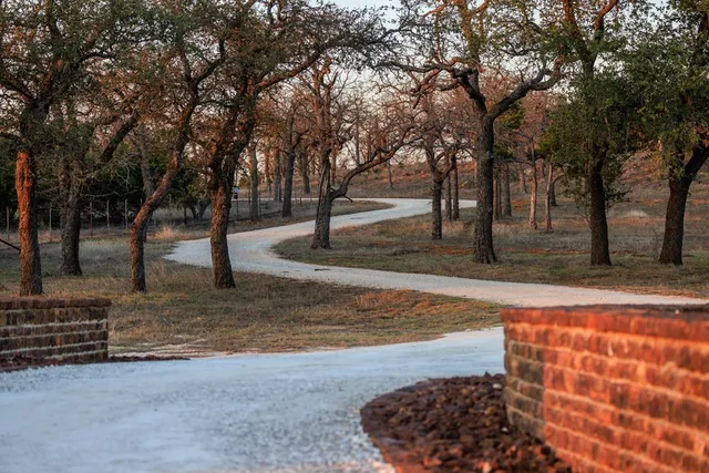 a view of yard with tree in the background