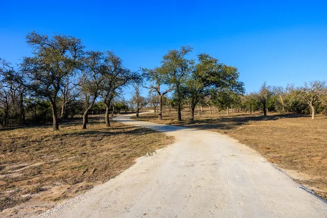 a view of road space with trees