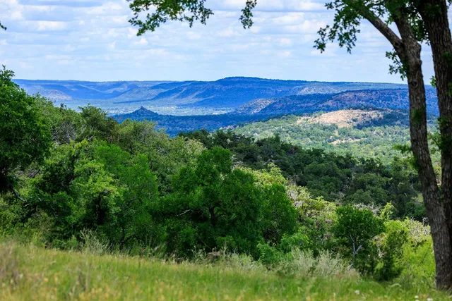 a view of a lush green field with lots of bushes
