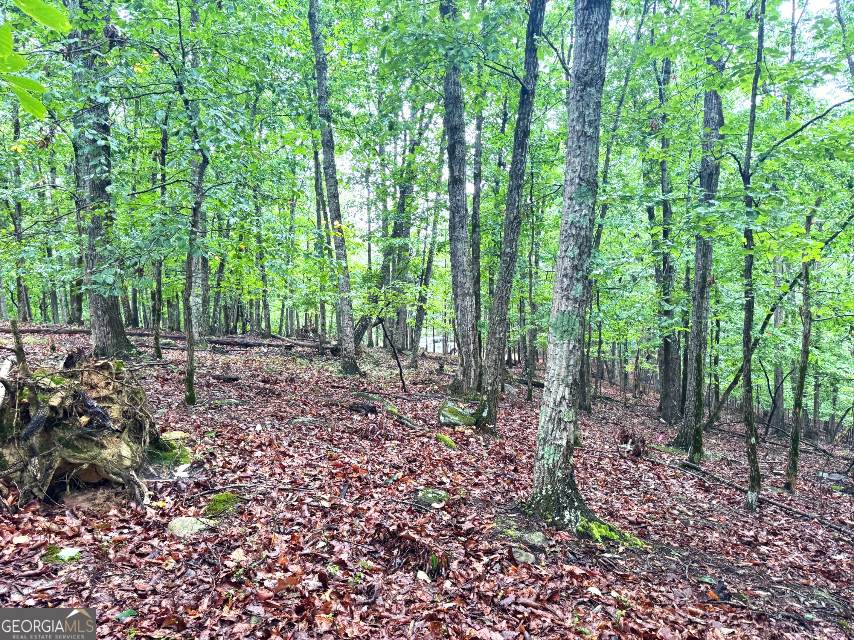 0 Planters Pointe Terrace Baldwin, GA 30511 - Photo 10 of 10 a view of outdoor space and green space