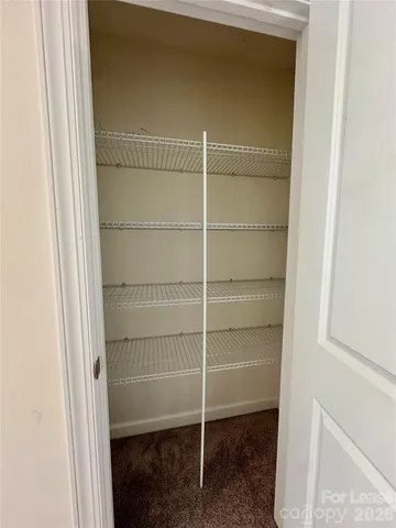 a room with walk in closet and empty racks