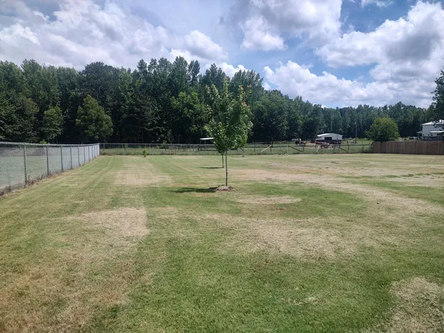 $335,000 | 11 Summerfield Court, Trenton, SC 29847