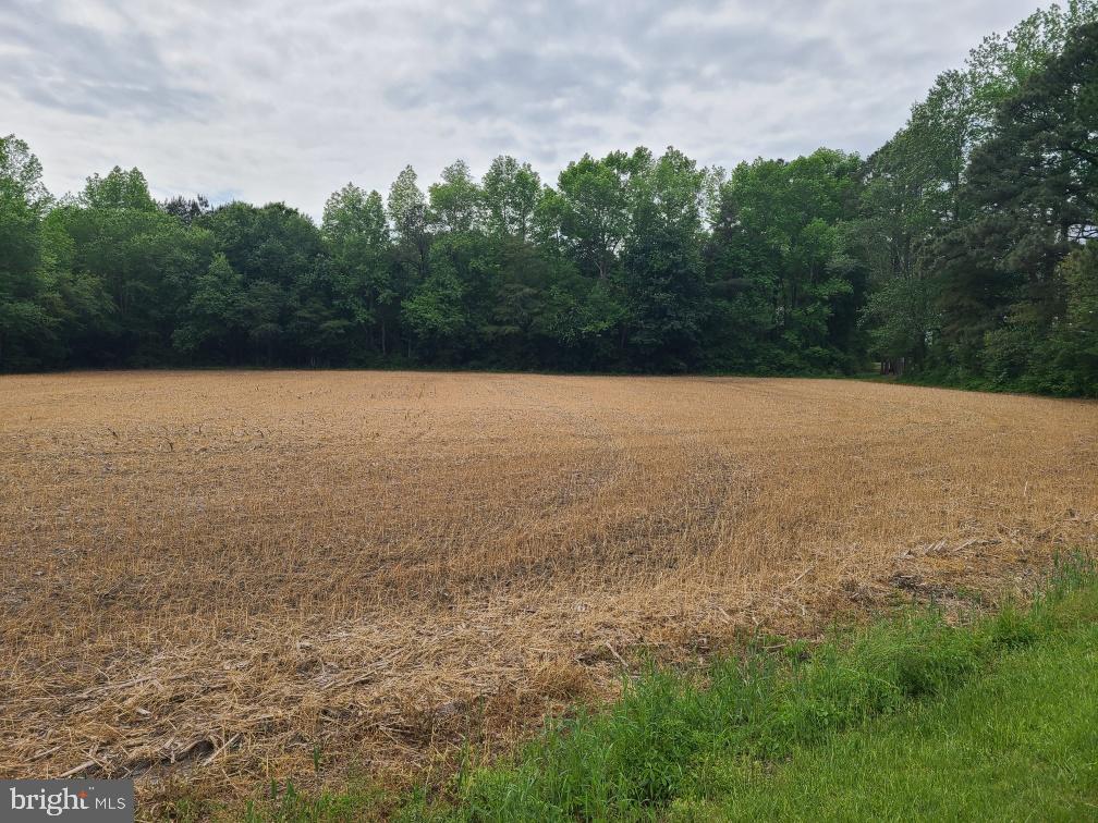 Lot 3 Morris Road Pittsville, MD 21850 - Photo 1 of 4 Gallery Image 1