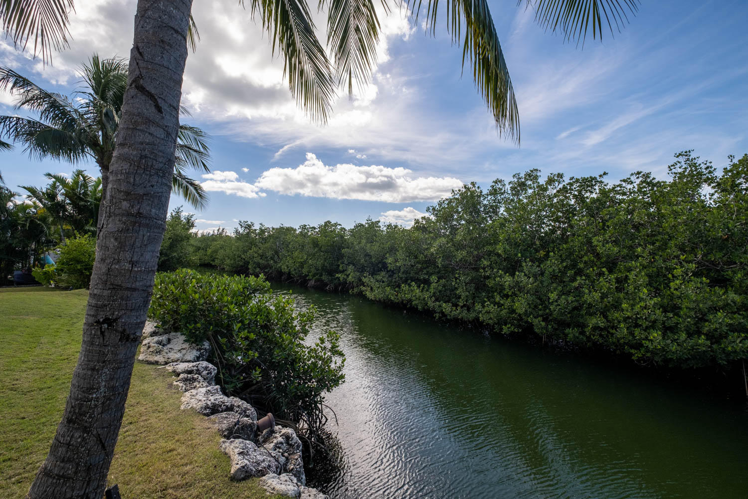 122 Spoonbill Road Tavernier, FL 33070 - Photo 44 of 63 No One Across From You