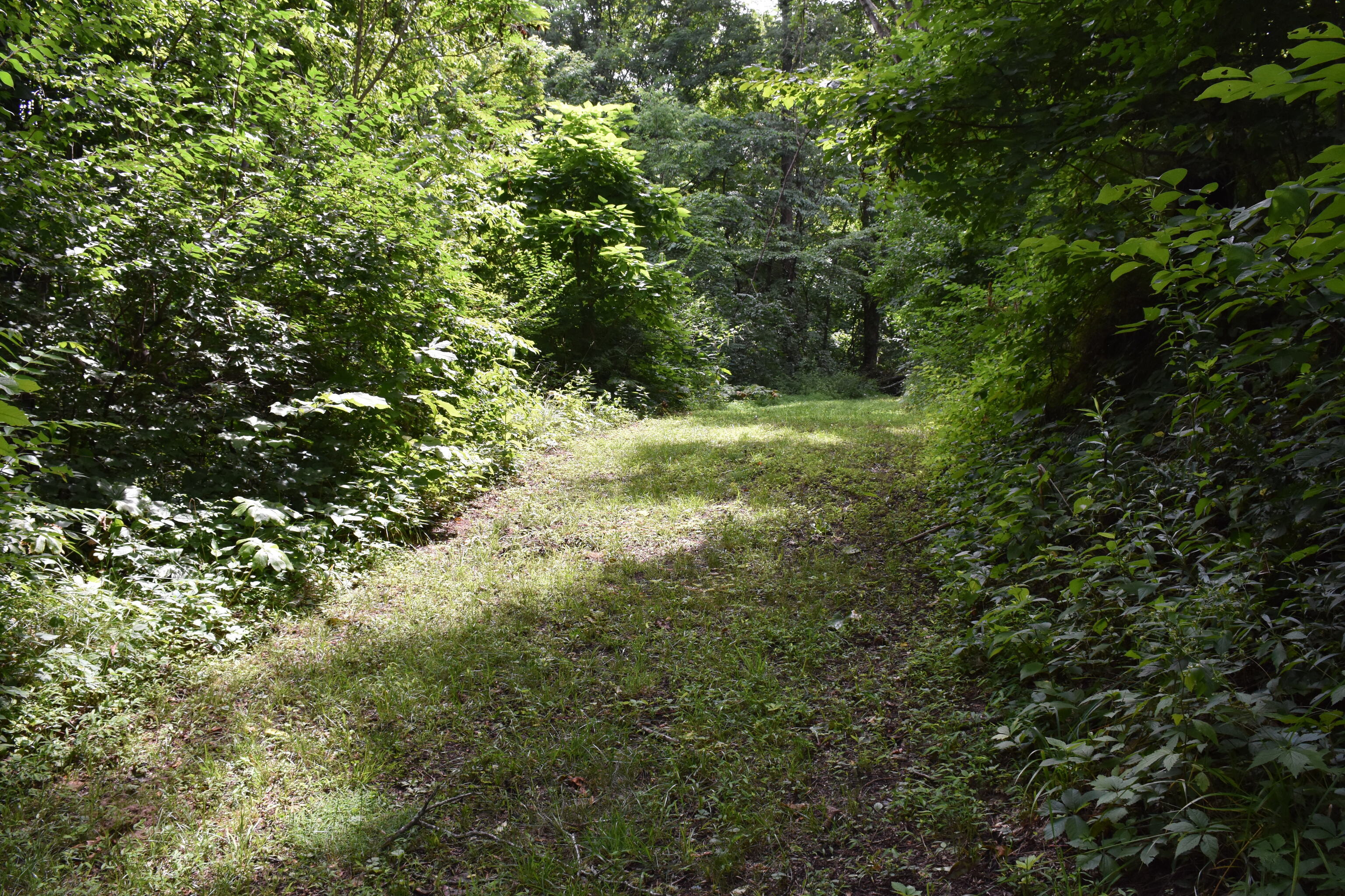 1469 Blue Bluff Road Martinsville, IN 46151 - Photo 11 of 71