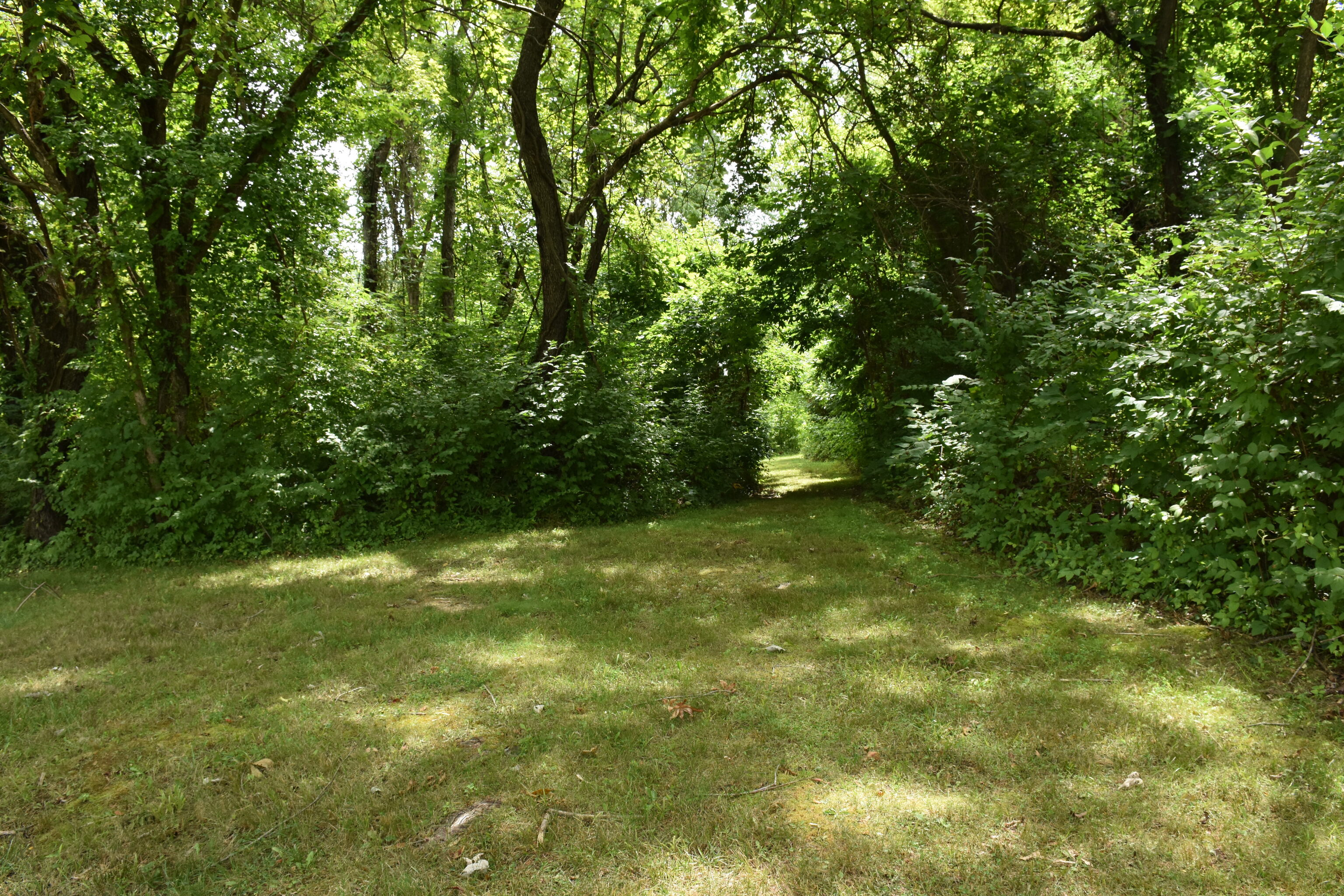 1469 Blue Bluff Road Martinsville, IN 46151 - Photo 70 of 71