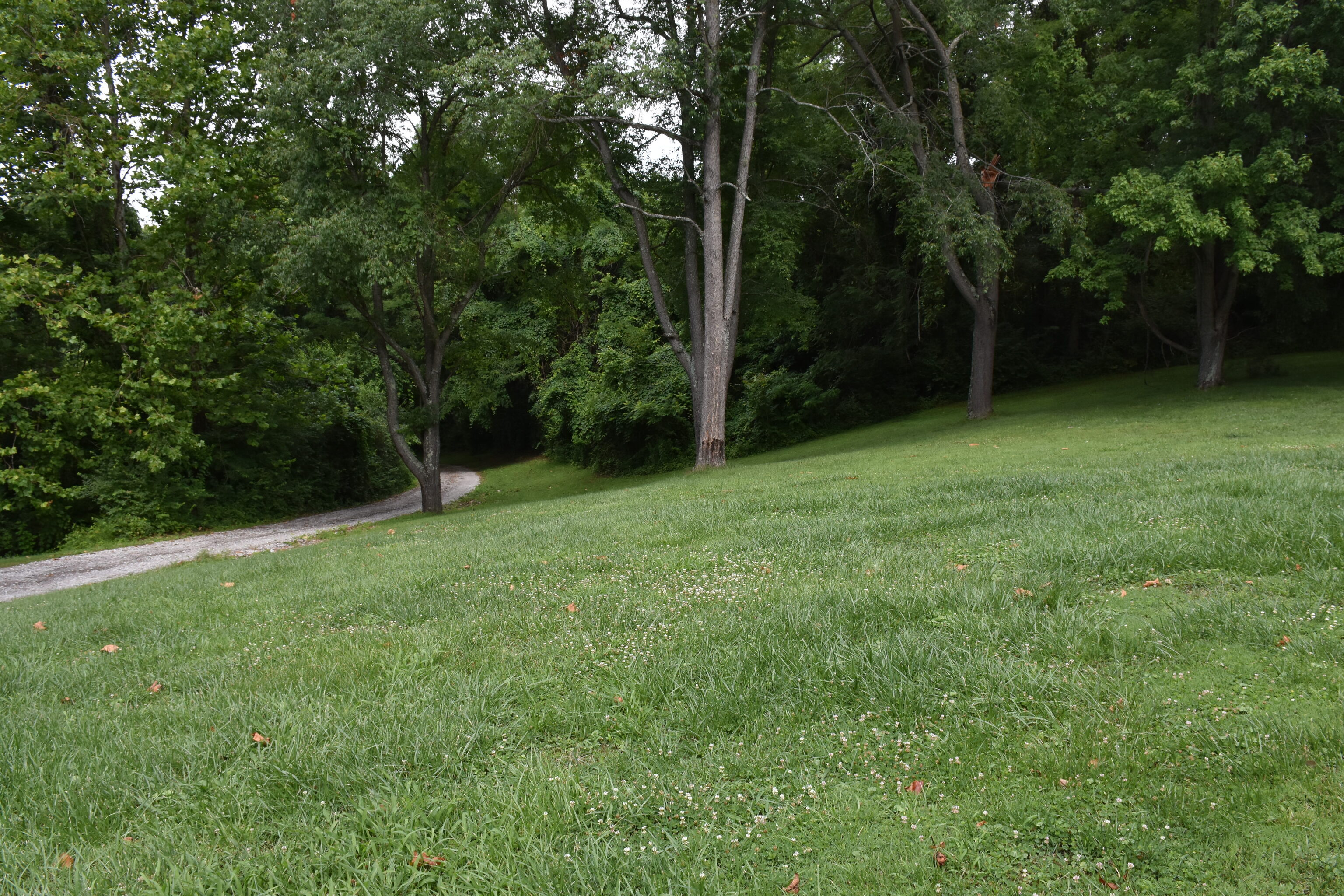 1469 Blue Bluff Road Martinsville, IN 46151 - Photo 10 of 71