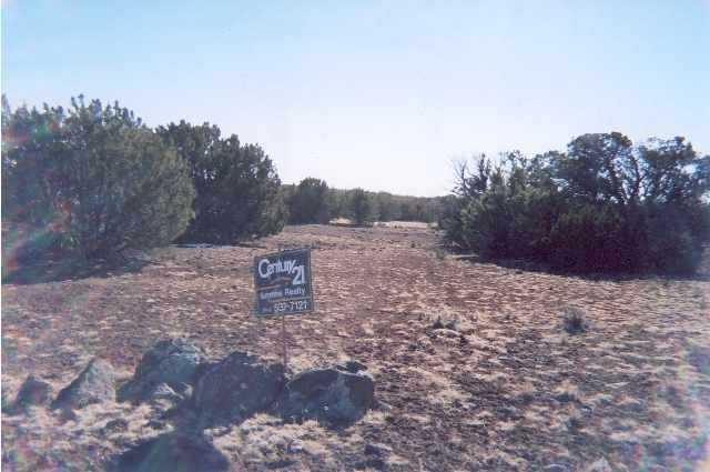 17 Charming Ranch Road Concho, AZ 85924 - Photo 1 of 1 Gallery Image 1