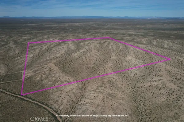 a view of a small yard