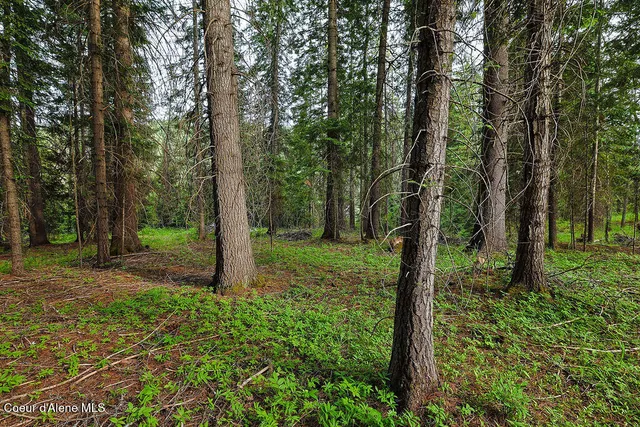 $300,000 | 164 West Fork Pine Creek Road, Pinehurst, ID 83850