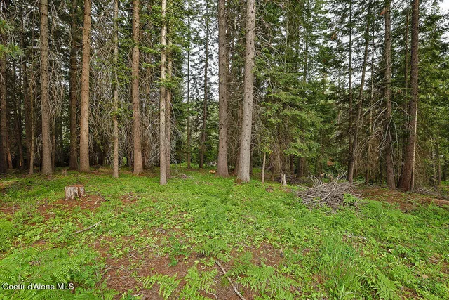 $300,000 | 164 West Fork Pine Creek Road, Pinehurst, ID 83850