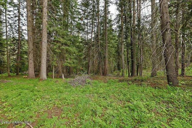 $300,000 | 164 West Fork Pine Creek Road, Pinehurst, ID 83850