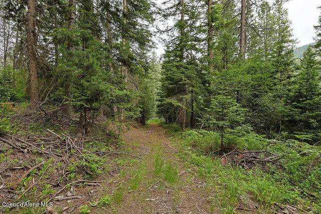 $300,000 | 164 West Fork Pine Creek Road, Pinehurst, ID 83850