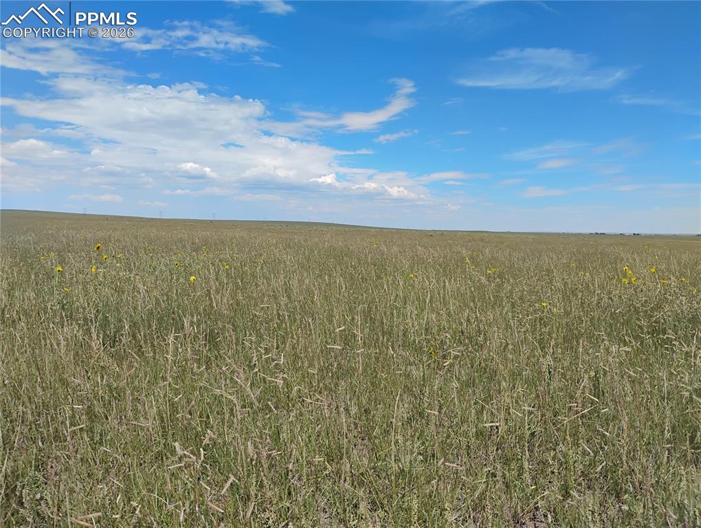 15 Squirrel Creek Road Colorado Springs, CO 80928 - Photo 11 of 12 a view of an ocean