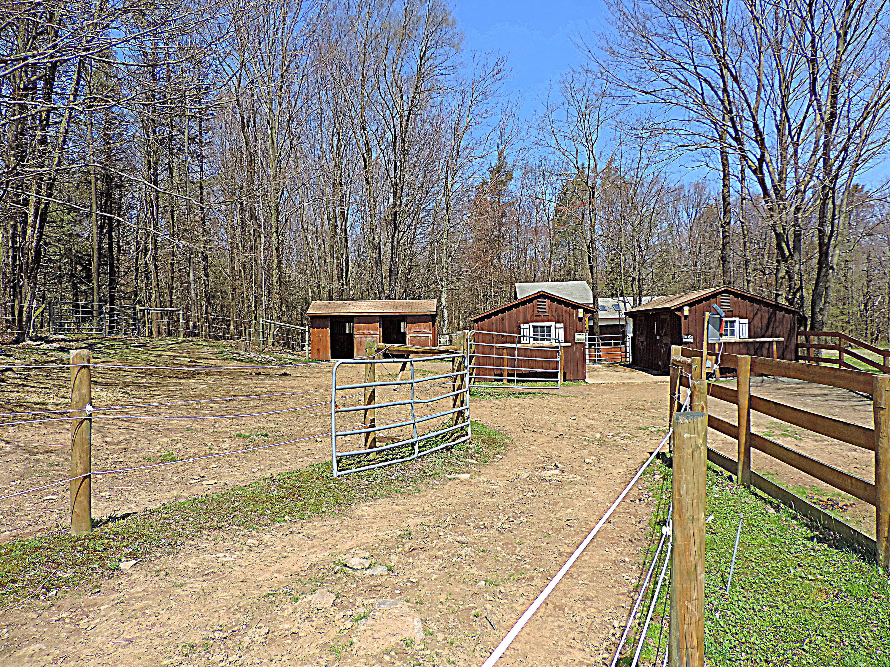 441 Huckleberry Road Newfoundland, PA 18445 - Photo 32 of 58