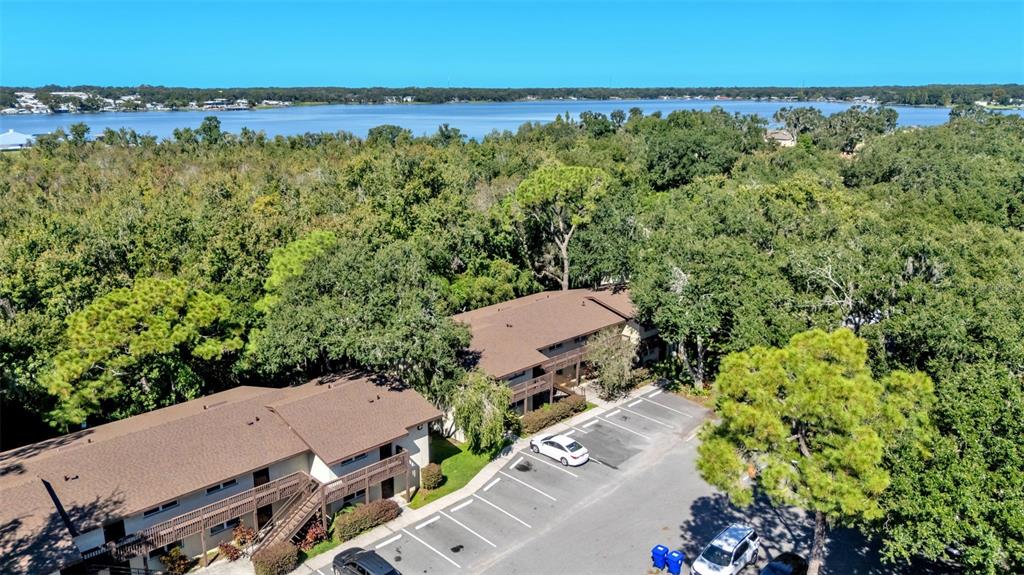 141 Fernery Road, Unit D1 Lakeland, FL 33809 - Photo 28 of 30 an aerial view of a house with a garden