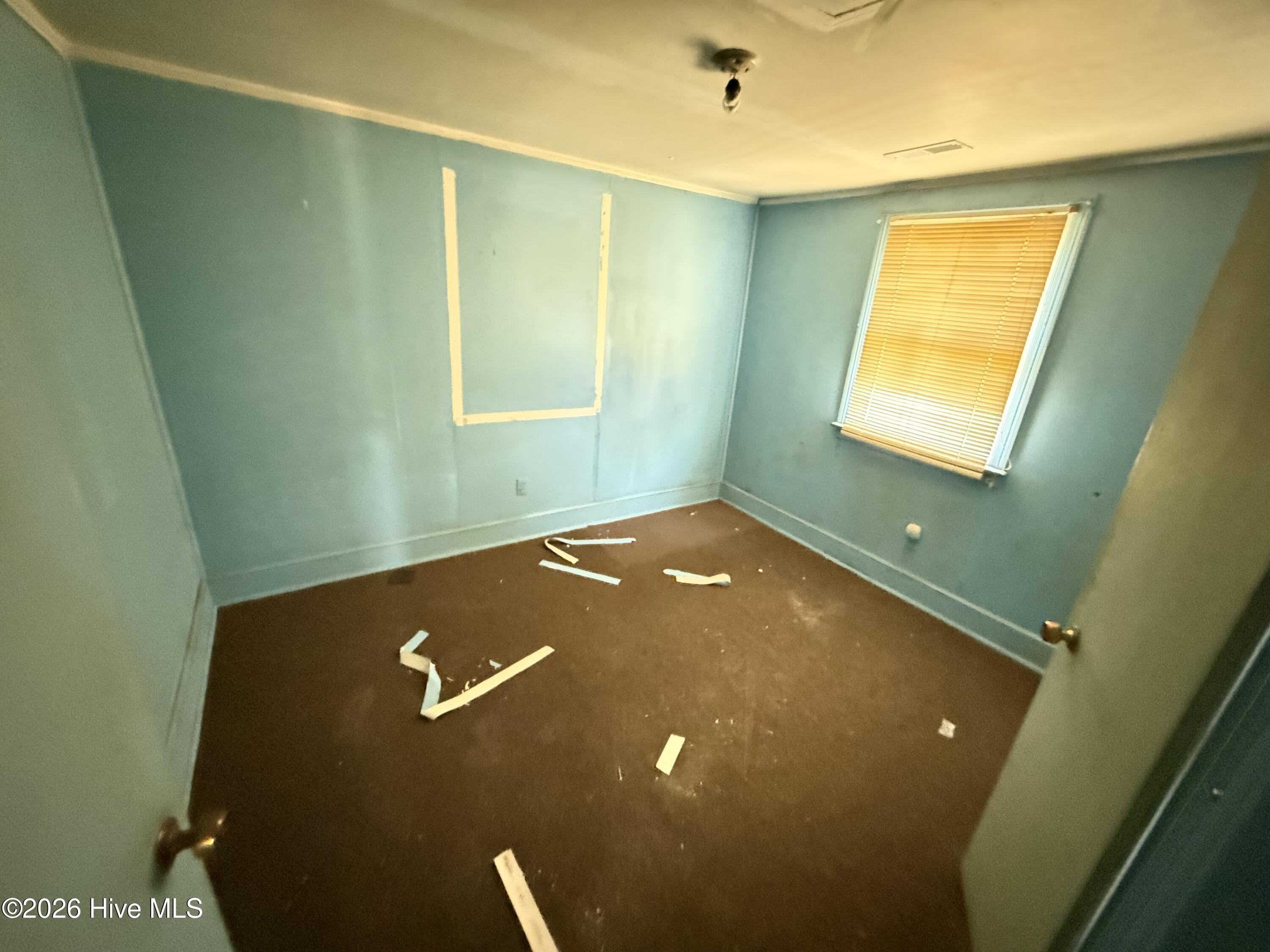 201 County Road Mount Olive, NC 28365 - Photo 6 of 9