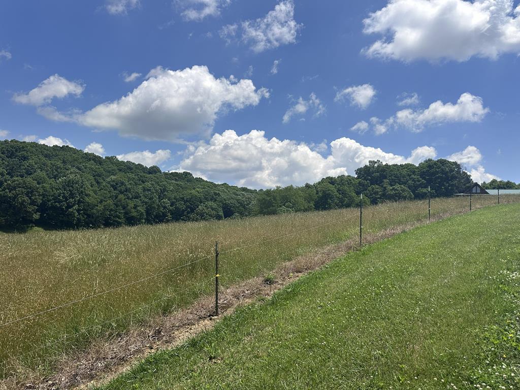 570 Scowanda Spring Road Rural Retreat, VA 24368 - Photo 51 of 62 Gallery Image 51
