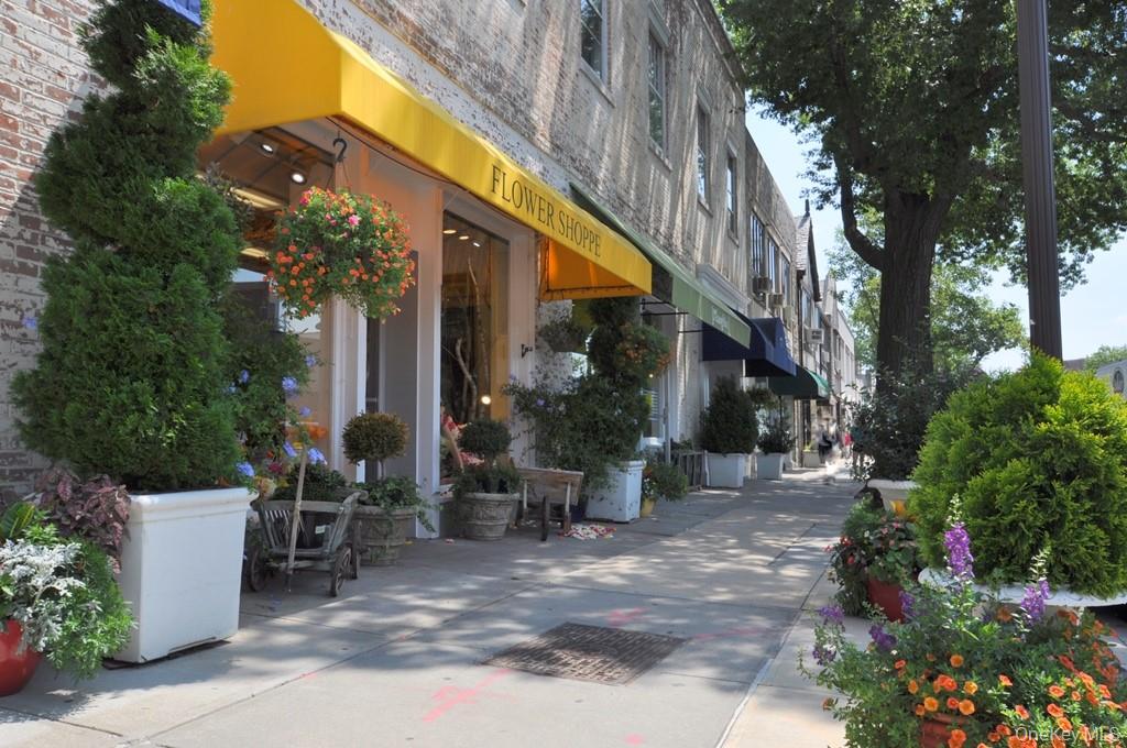 949 Palmer Road, Unit 2G Bronxville, NY 10708 - Photo 35 of 40 a view of a patio with table and chairs and potted plants