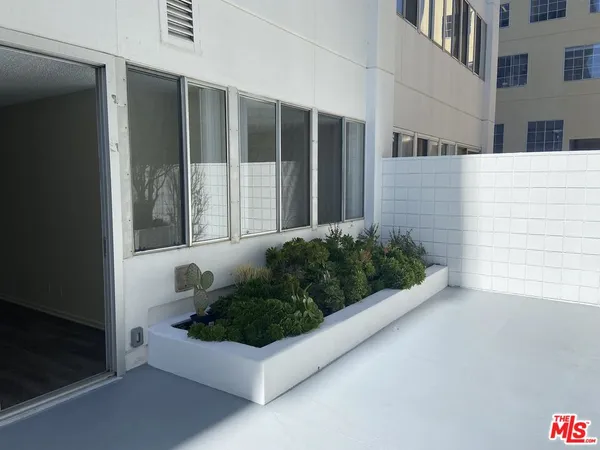 a view of a back yard of the house