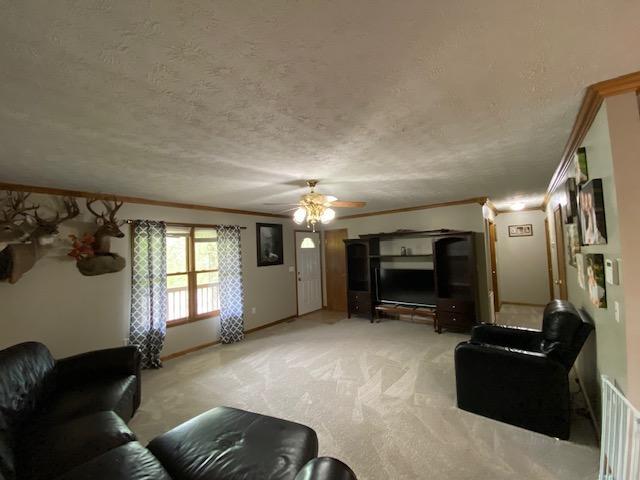 2095 Rush Branch Road Somerset, KY 42501 - Photo 6 of 17 9