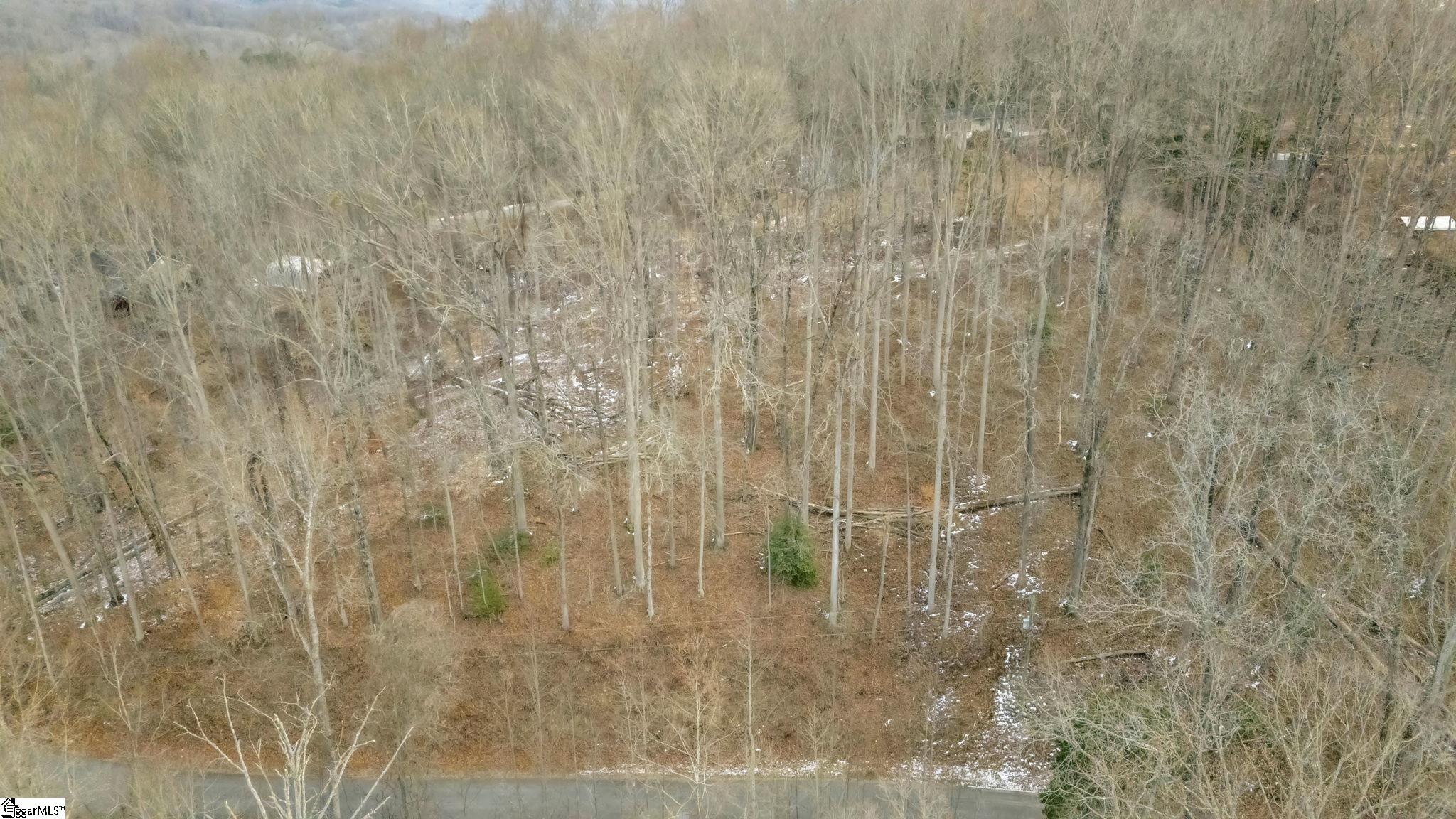 29 Forest Drive Travelers Rest, SC 29690 - Photo 2 of 13