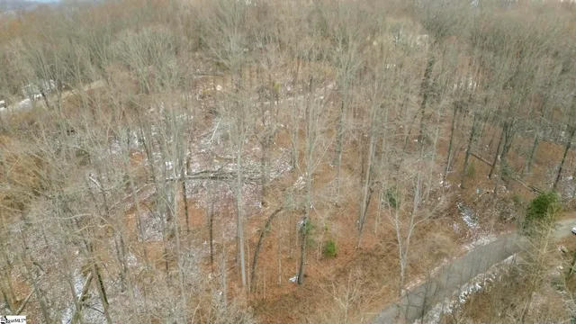 $49,900 | 29 Forest Drive, Travelers Rest, SC 29690