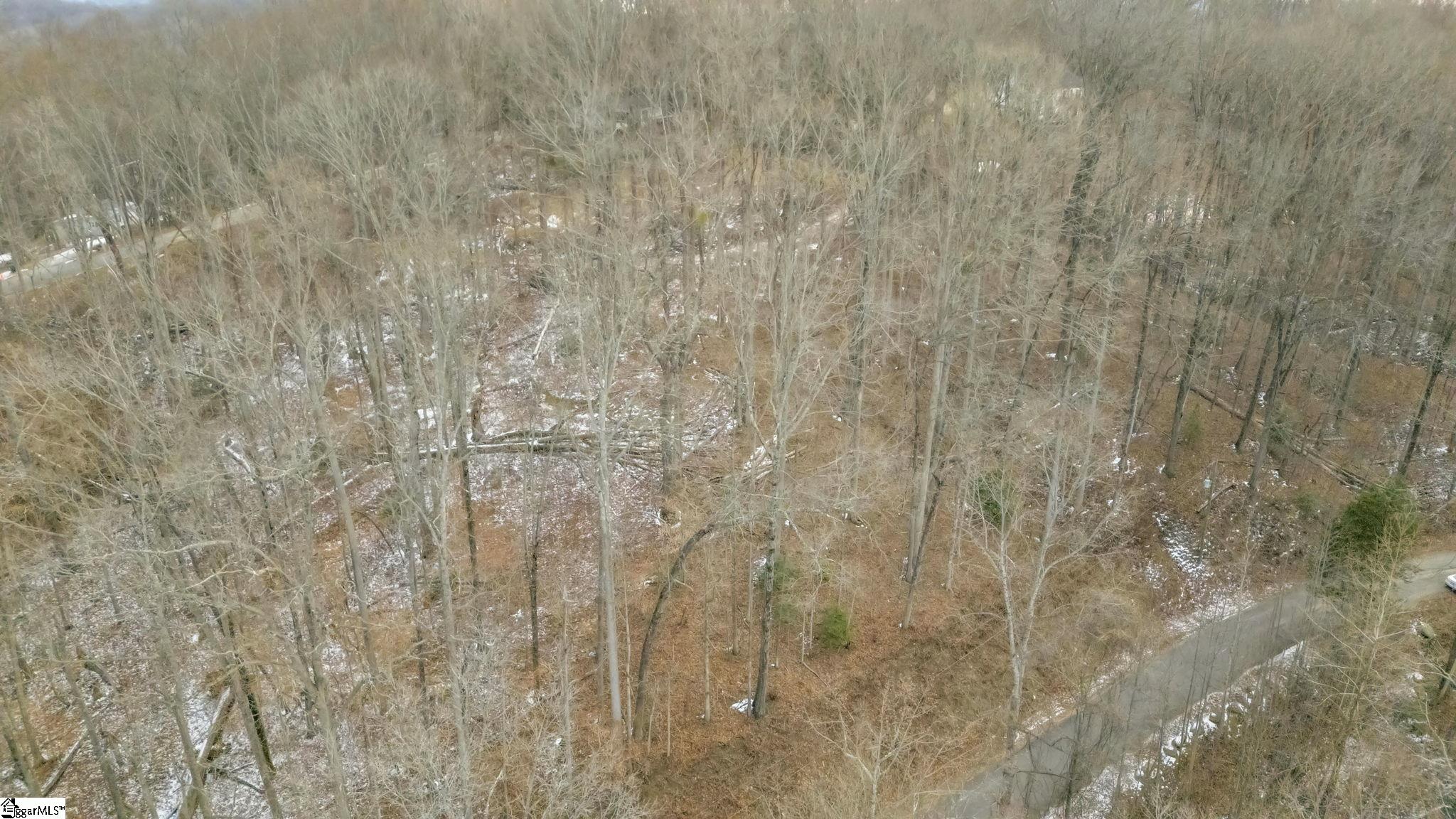 29 Forest Drive Travelers Rest, SC 29690 - Photo 3 of 13