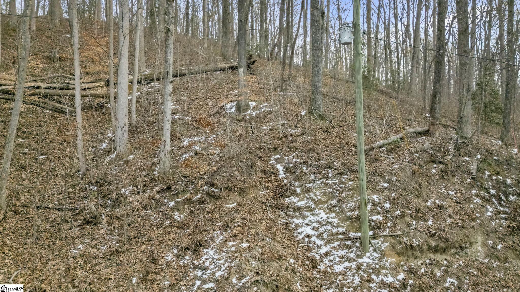 29 Forest Drive Travelers Rest, SC 29690 - Photo 4 of 13