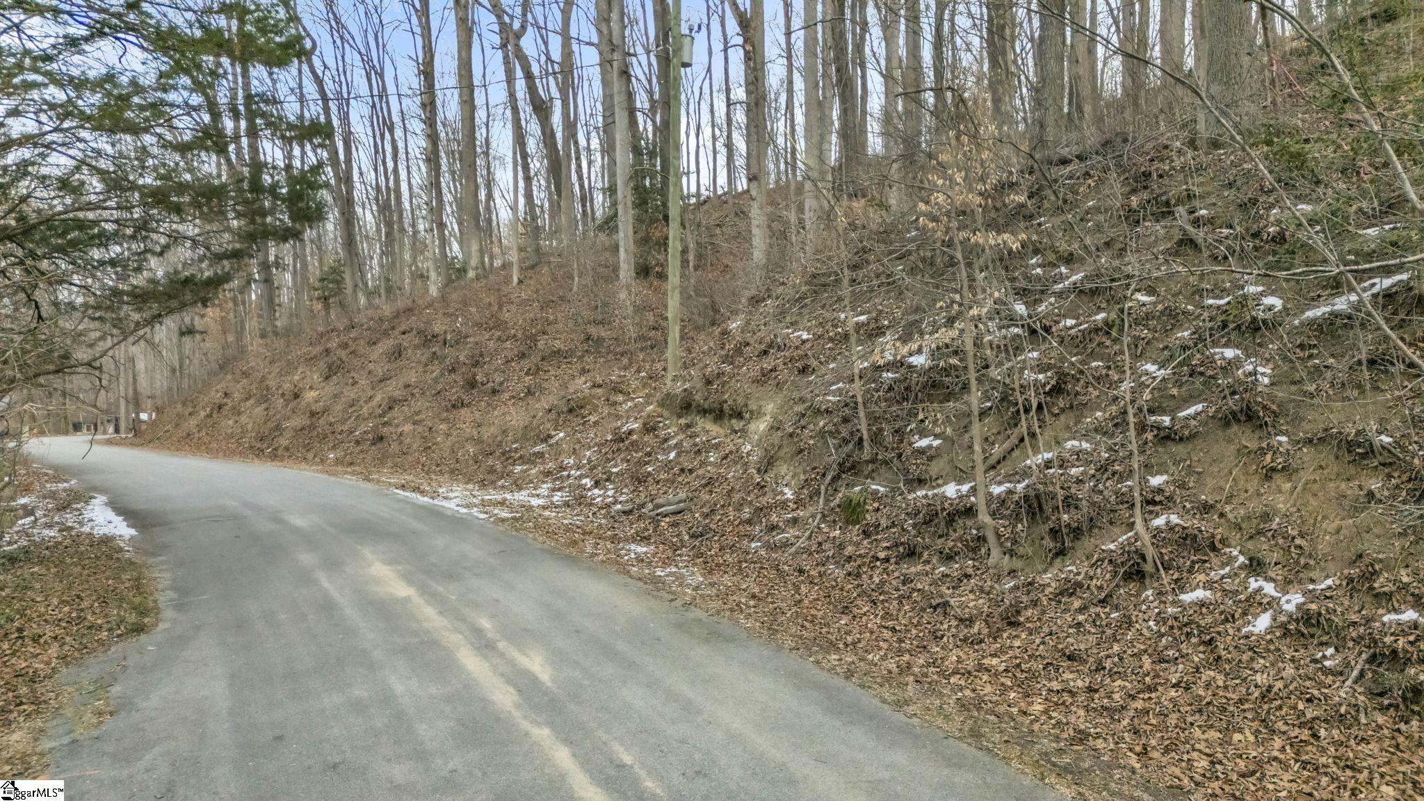 29 Forest Drive Travelers Rest, SC 29690 - Photo 5 of 13