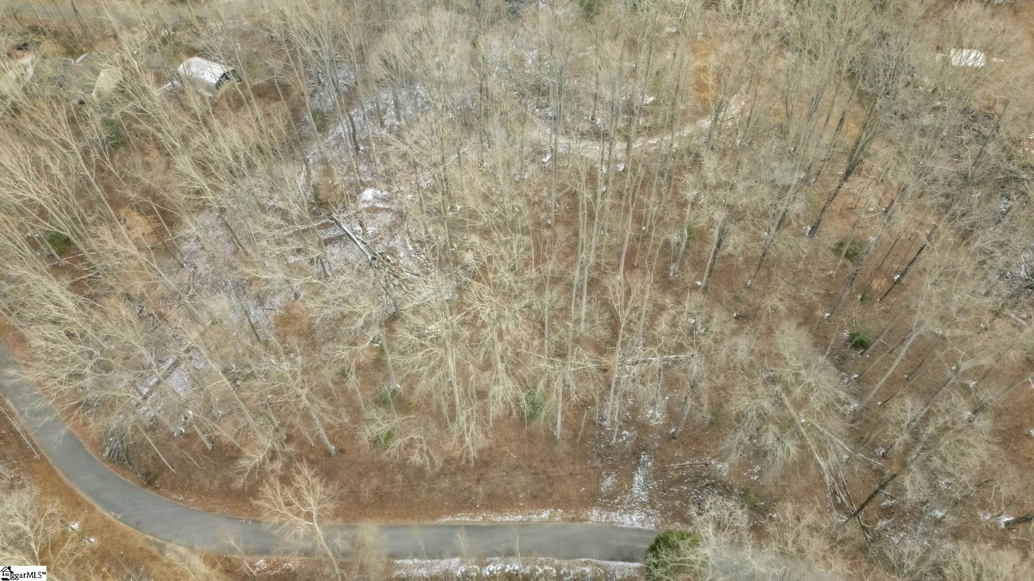 29 Forest Drive Travelers Rest, SC 29690 - Photo 6 of 13