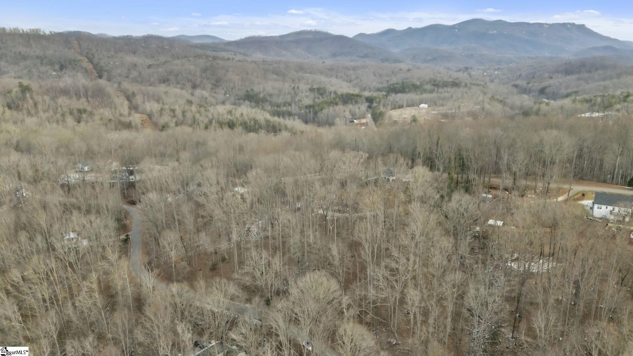 29 Forest Drive Travelers Rest, SC 29690 - Photo 7 of 13