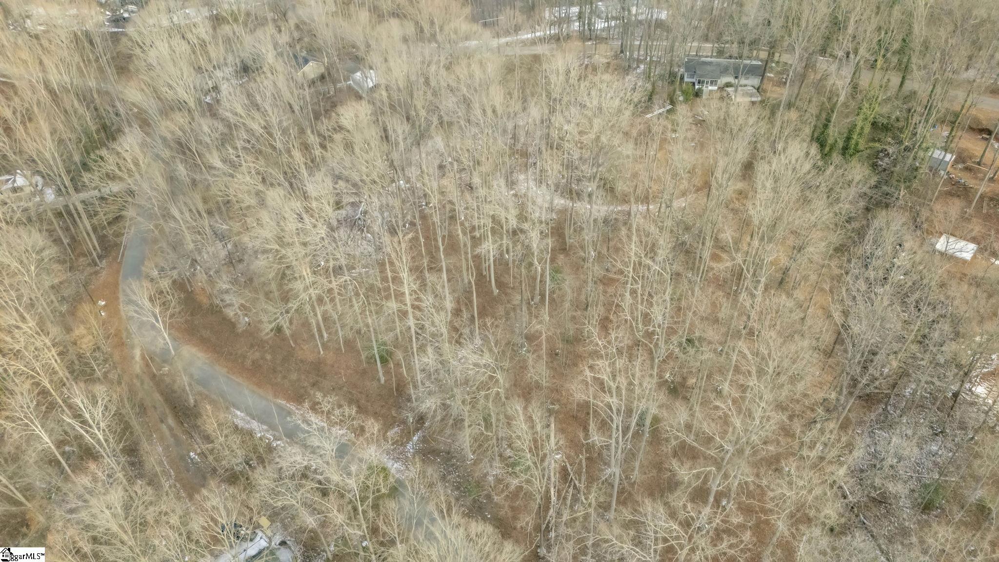 29 Forest Drive Travelers Rest, SC 29690 - Photo 7 of 13