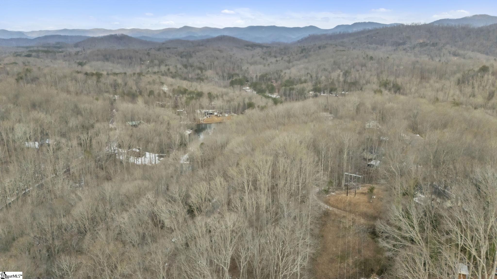 29 Forest Drive Travelers Rest, SC 29690 - Photo 8 of 13