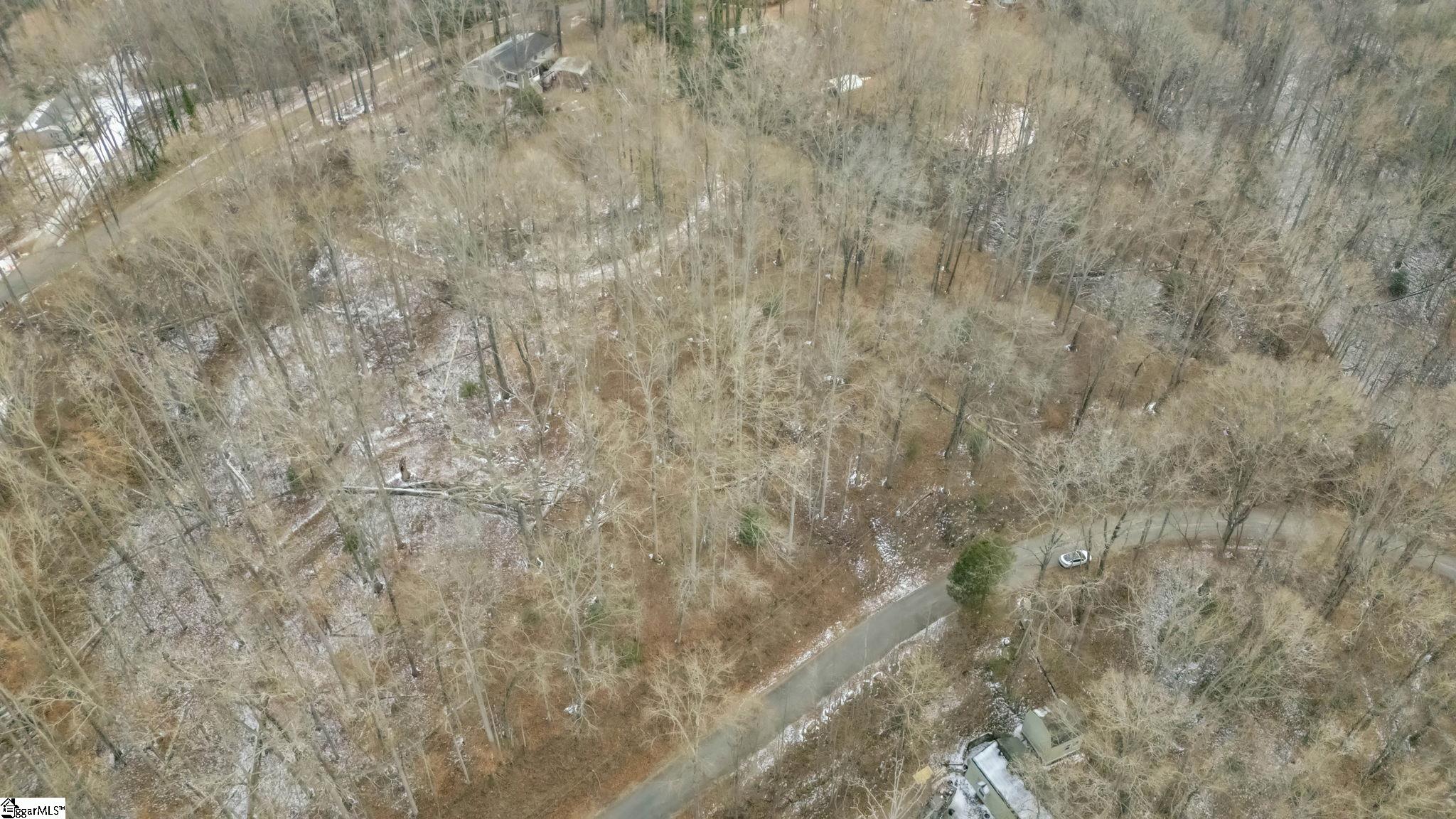 29 Forest Drive Travelers Rest, SC 29690 - Photo 9 of 13