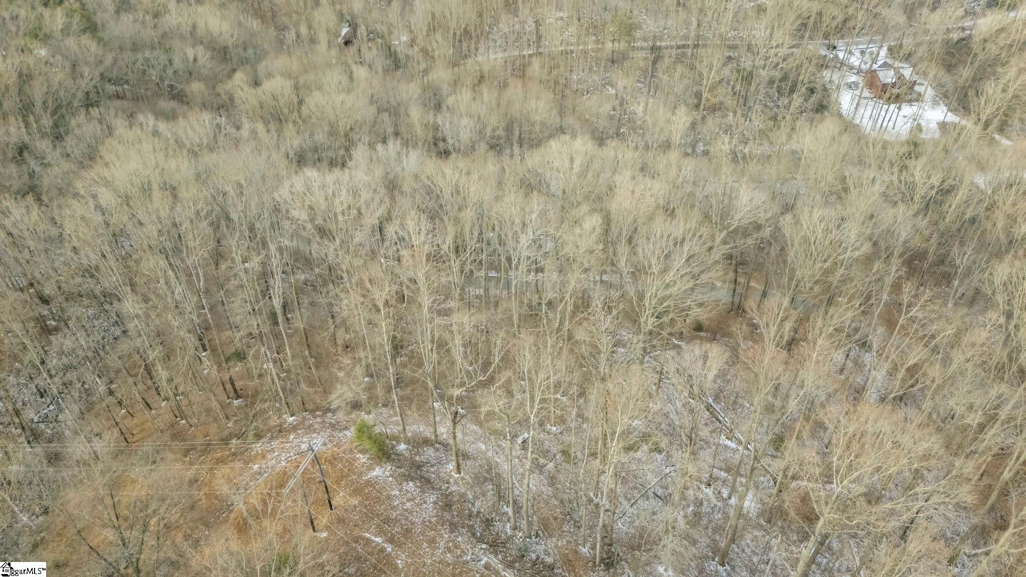 29 Forest Drive Travelers Rest, SC 29690 - Photo 9 of 13