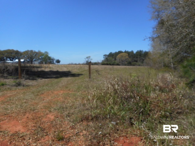 23597 North River Road Daphne, AL 36526 - Photo 5 of 5 Gallery Image 5
