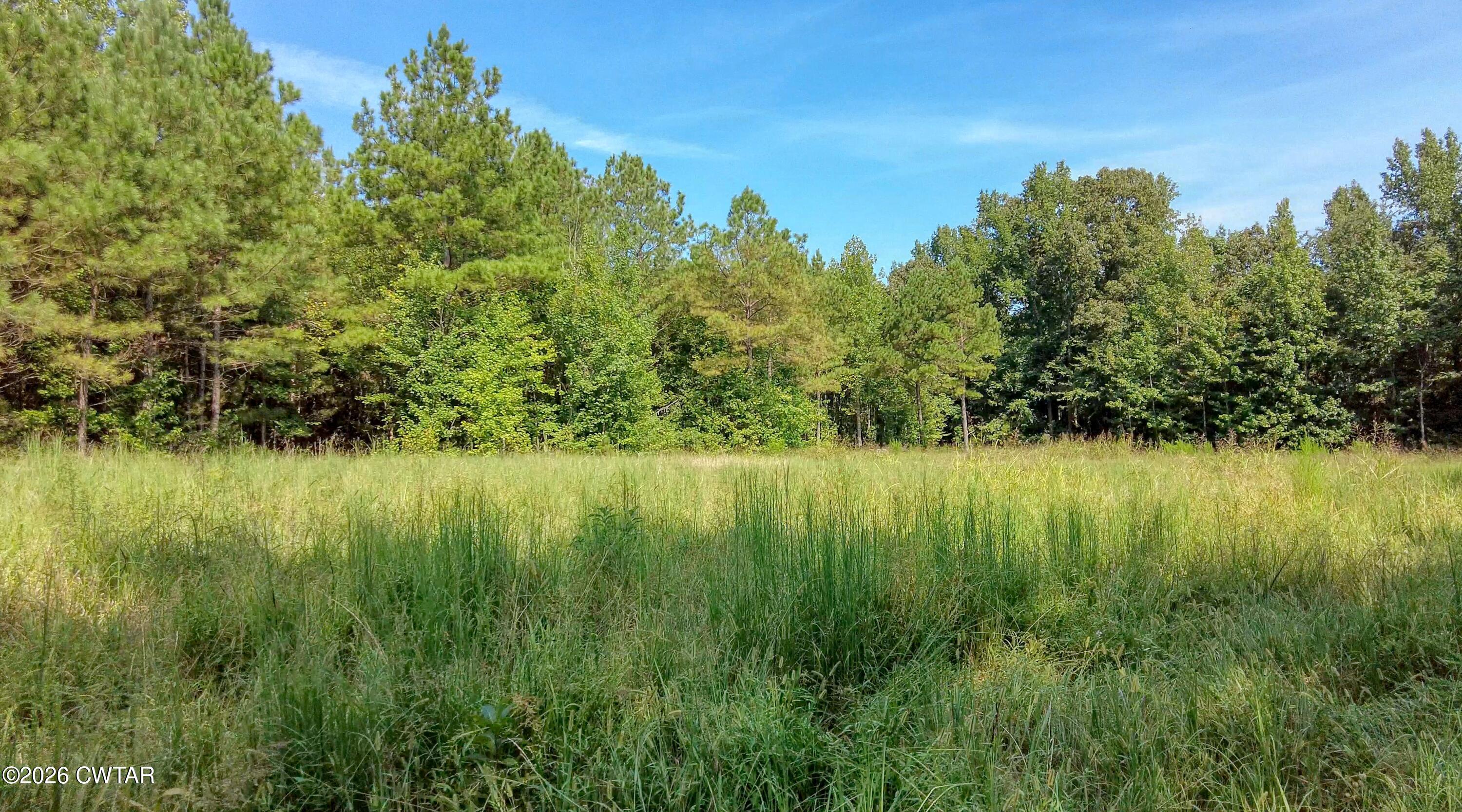 4349 Buena Vista Road Huntingdon, TN 38344 - Photo 44 of 68 Land5