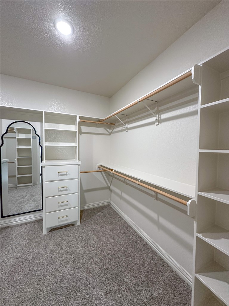 3201 Hunters Crossing Bryan, TX 77808 - Photo 16 of 40 Walk in closet featuring light colored carpet