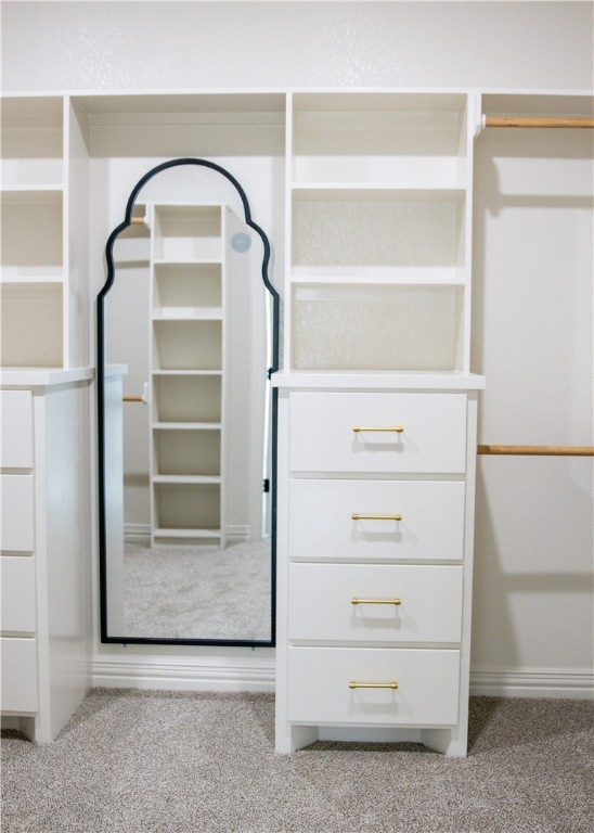 3201 Hunters Crossing Bryan, TX 77808 - Photo 22 of 33 a view of an empty walk in closet